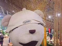 -济州岛泰迪熊博物馆