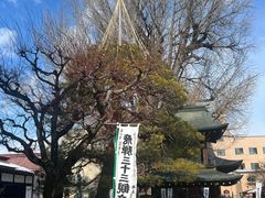 -医王山·飞騨国分寺