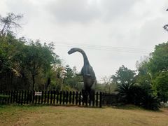 -自贡恐龙博物馆