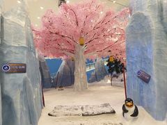 -长沙湘江欢乐雪域