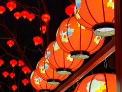 -武汉园博园(武汉自然博物馆)
