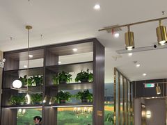-刘胖子家常菜·蹄花焖藕(中南店)