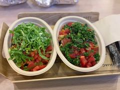 -油梨树 AVOCADO TREE(亮马桥店)