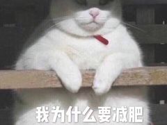 -一叶一世界·素食餐厅(锦华万达店)