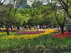 -长春公园(普阳街道)