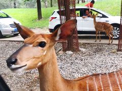 -北京野生动物园