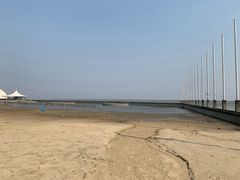 -碧海金沙