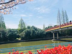 -高东镇樱花园