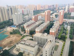 -赵记煎饼卷大葱(东岳店)