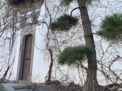 -广富林郊野公园