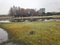 -长广溪湿地公园