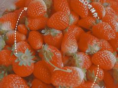 -江杨农产品批发市场