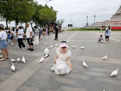 -天津妈祖文化园