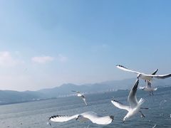 -海埂大坝
