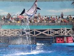 -海合安成都极地海洋公园
