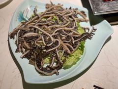 -二荆条·蜀鲜汇城市森林火锅