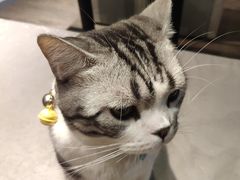 -小时光咖啡馆(开森度假森林店)
