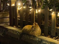 -Pistolera Mexican Cantina女枪手墨西哥餐厅(碧云路店)
