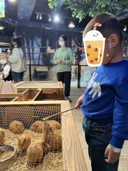 -酷嗒动物文化乐园(cutezoo西溪乐天城店)