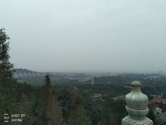 -龙口南山旅游景区