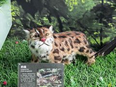 -房山世界地质公园博物馆