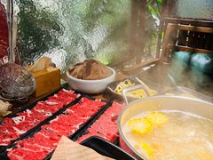 -掂档潮汕牛肉火锅(沈阳万象城店)