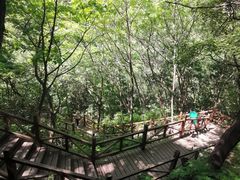 -大岭沟猕猴桃谷风景区