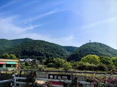 -宁波九龙湖开元度假村