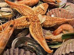 -悦海·家宴·冰花皮皮虾大锅贴(宝龙店)