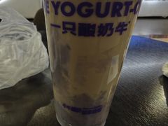 -一只酸奶牛(八一路店)