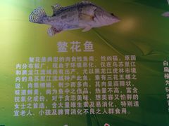 -老刘生态大鱼坊铁锅炖鱼(赛马场店)