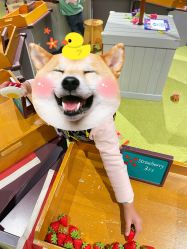 -幻贝家儿童乐园(苏州中心店)