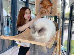 -猫色咖啡·猫咖