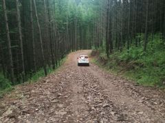 -塞罕坝国家级自然保护区