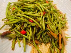 -丁老爷子苏香圆