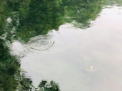 -百脉泉景区