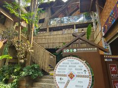 -西双版纳原始森林公园