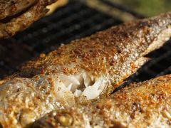 -桃园农庄·桃源宴