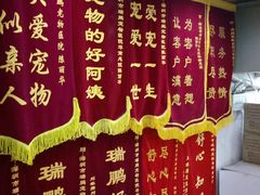 -瑞鹏宠物医院华南总院·夜诊·心脏科·骨科