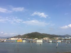 -盐洲岛