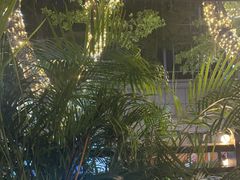 -SHARK鲨鱼餐吧(购物公园店)