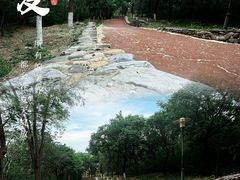 -云岗森林公园