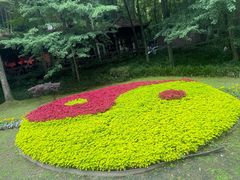-青城山