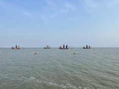 -贡湖湾湿地公园