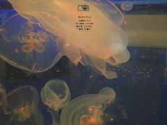 -常州海昌海洋探索馆
