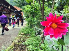 -花溪风景区