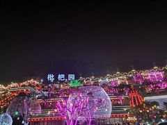 -枇杷园食为鲜火锅(南山店)