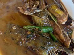 红烧昂刺鱼-云河农家乐饭店(福禄缘树山店)