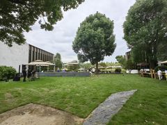 -养云安缦吧THE BAR