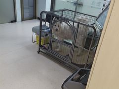 -全心全意连锁动物医院(加州店)